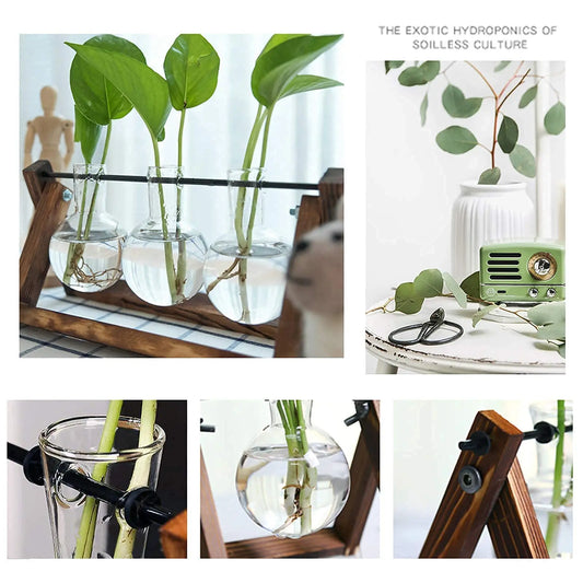 Hydroponic Terrarium Plant Vase with Stand – Elegant Indoor Decor
